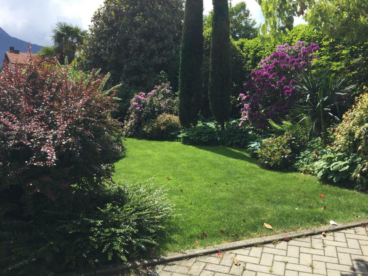 Iris 2 Lago Di Como 동고 외부 사진