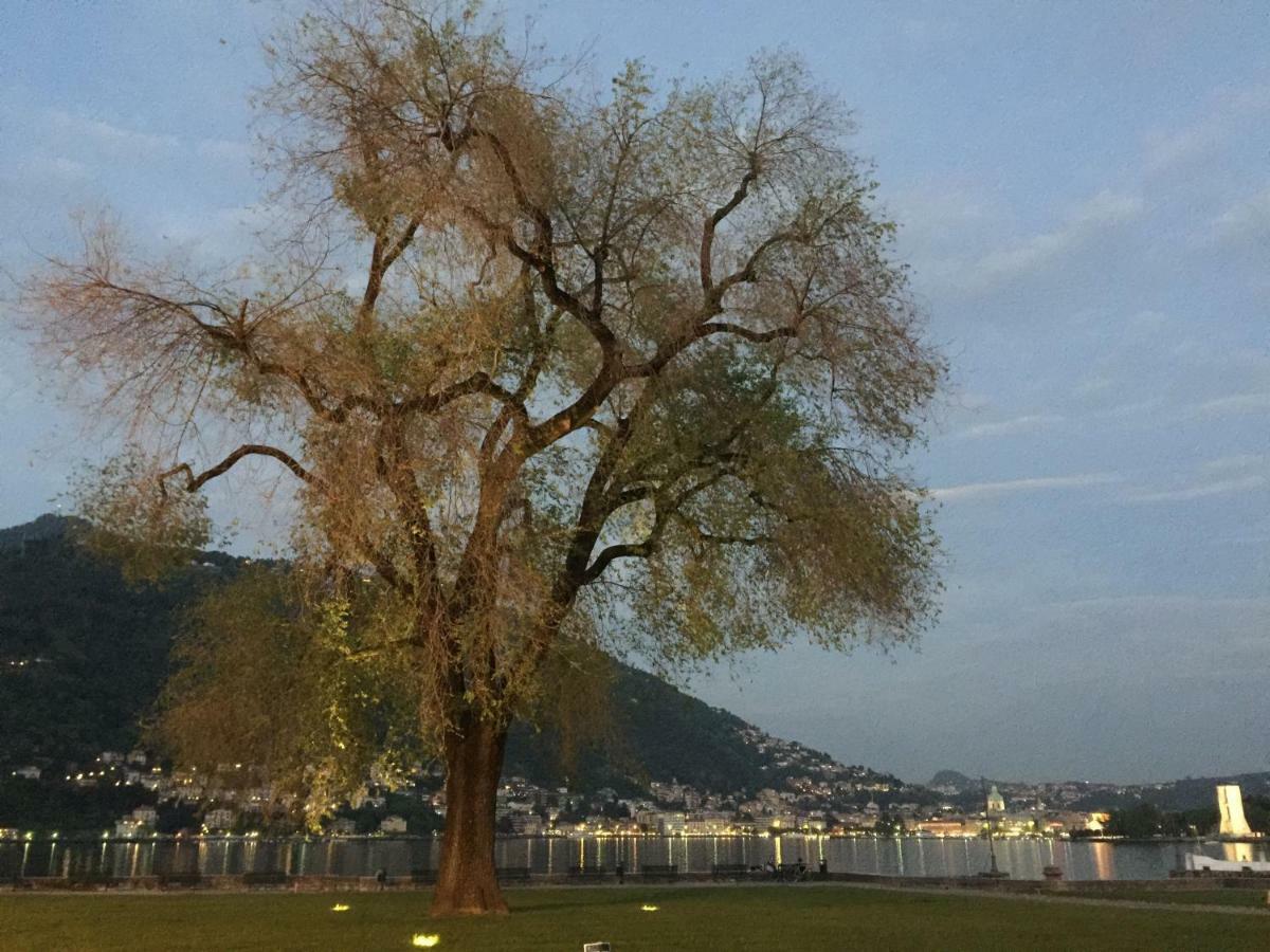 Iris 2 Lago Di Como 동고 외부 사진
