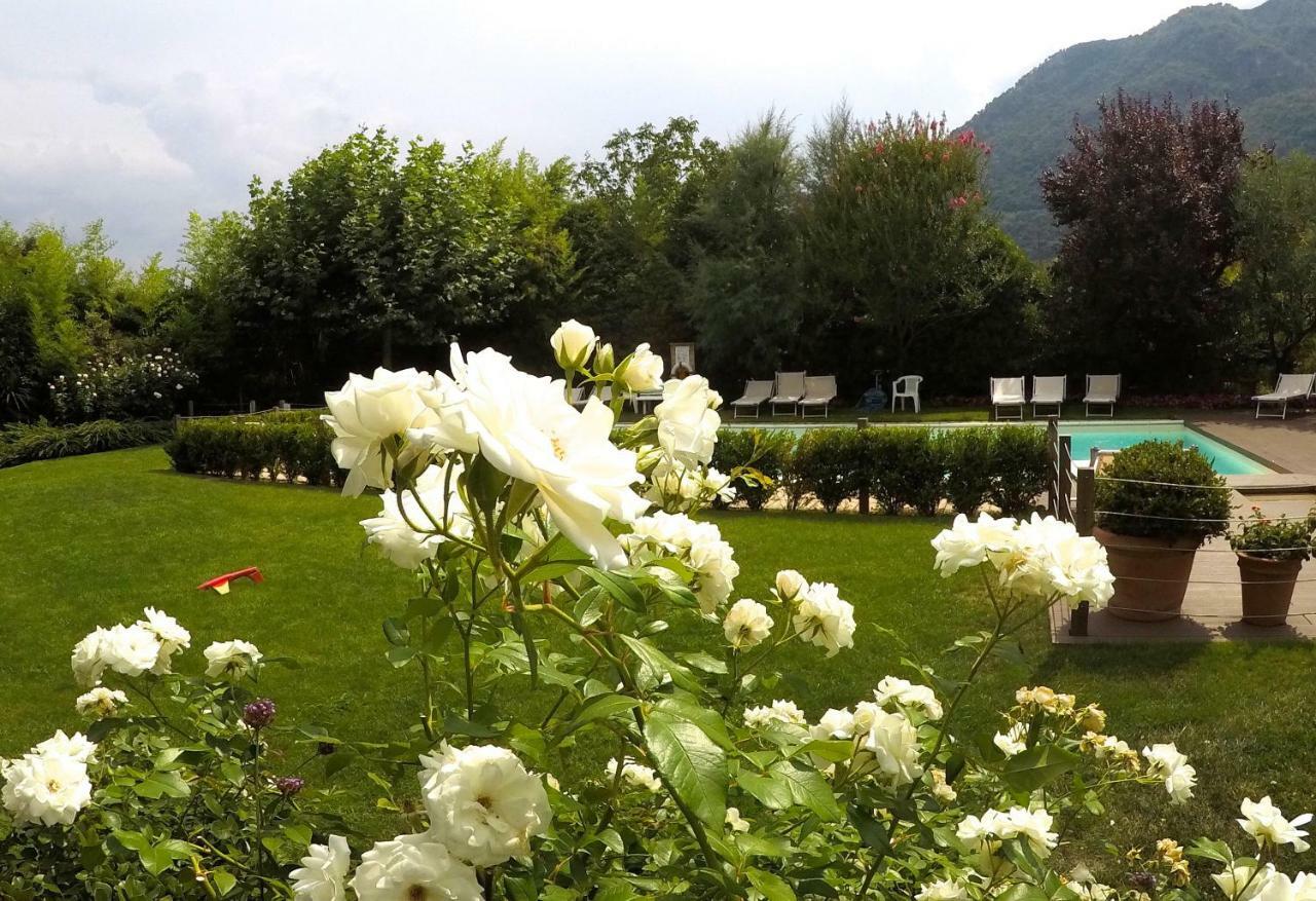 Iris 2 Lago Di Como 동고 외부 사진